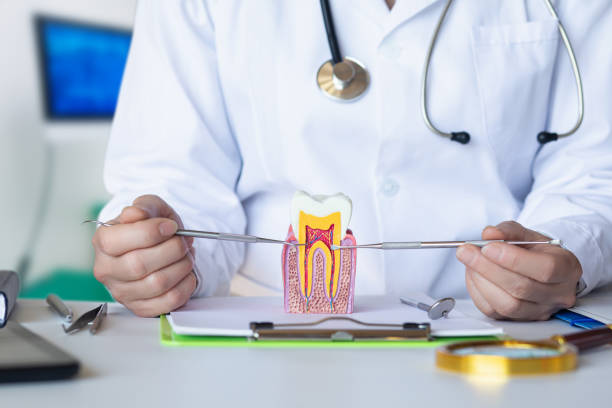 Best Pediatric Emergency Dentist in Monona, WI